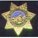 CALIFORNIA STATE INVESTIGATOR MINI BADGE PIN